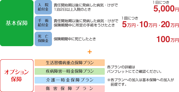 基本保障＋オプション保障