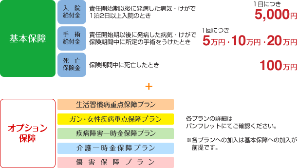 基本保障＋オプション保障